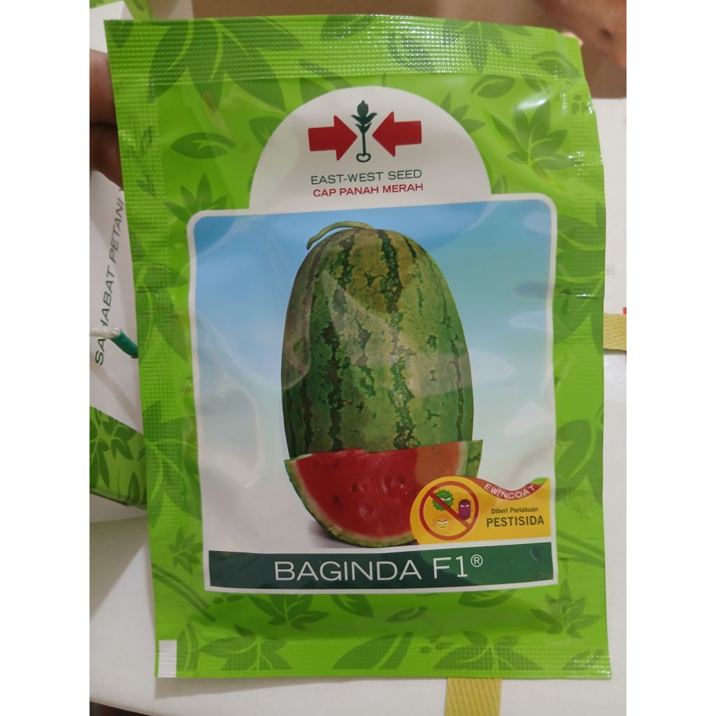 bibit semanka baginda f1 380 butir