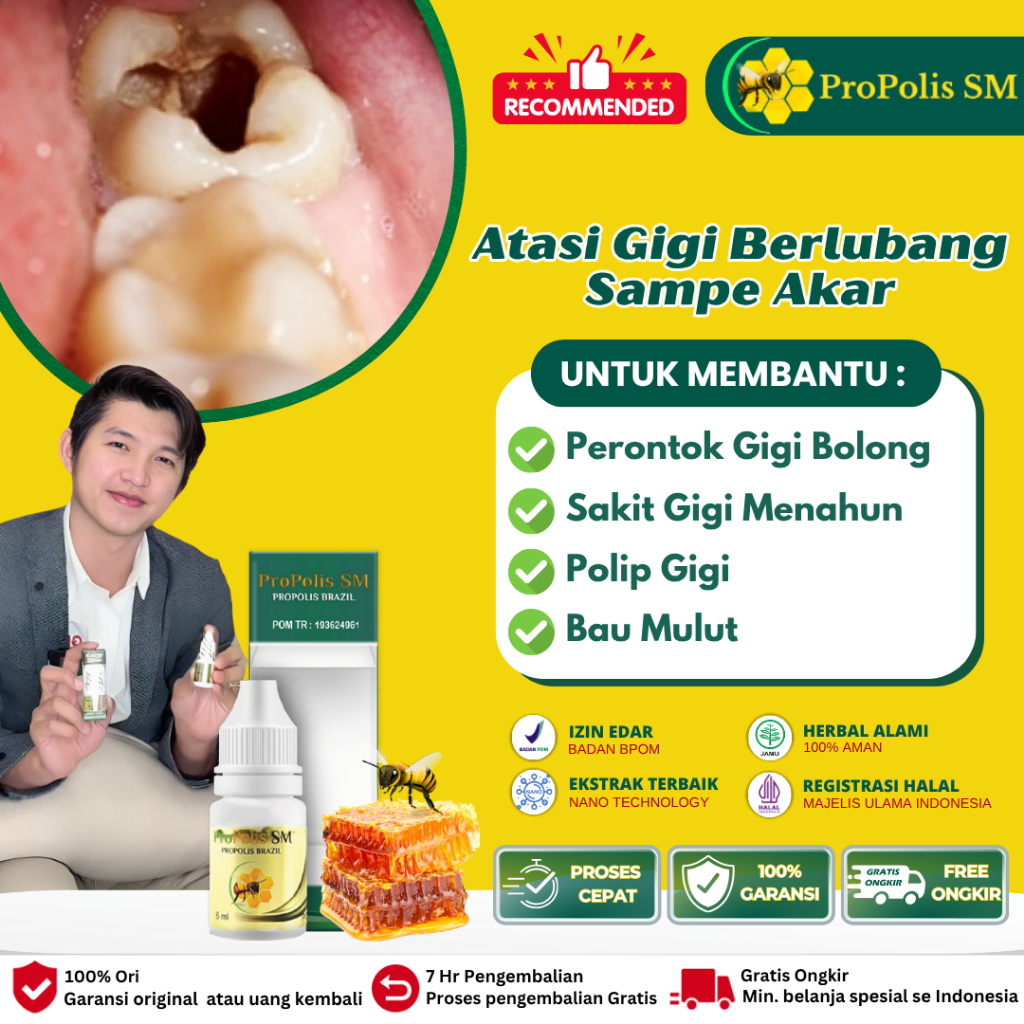 Perontok Gigi Berlubang Anak dan Dewasa, Penghancur Gigi Berlubang, Penghilang Sisa Gigi Berlubang, 