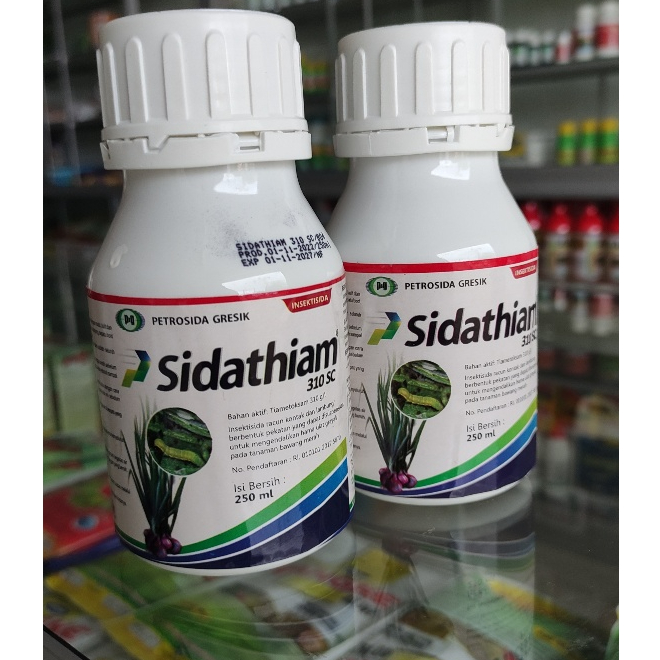 Insektisida Sidathiam 310sc 250ml Sidatiam / Sidathiam Insektisida