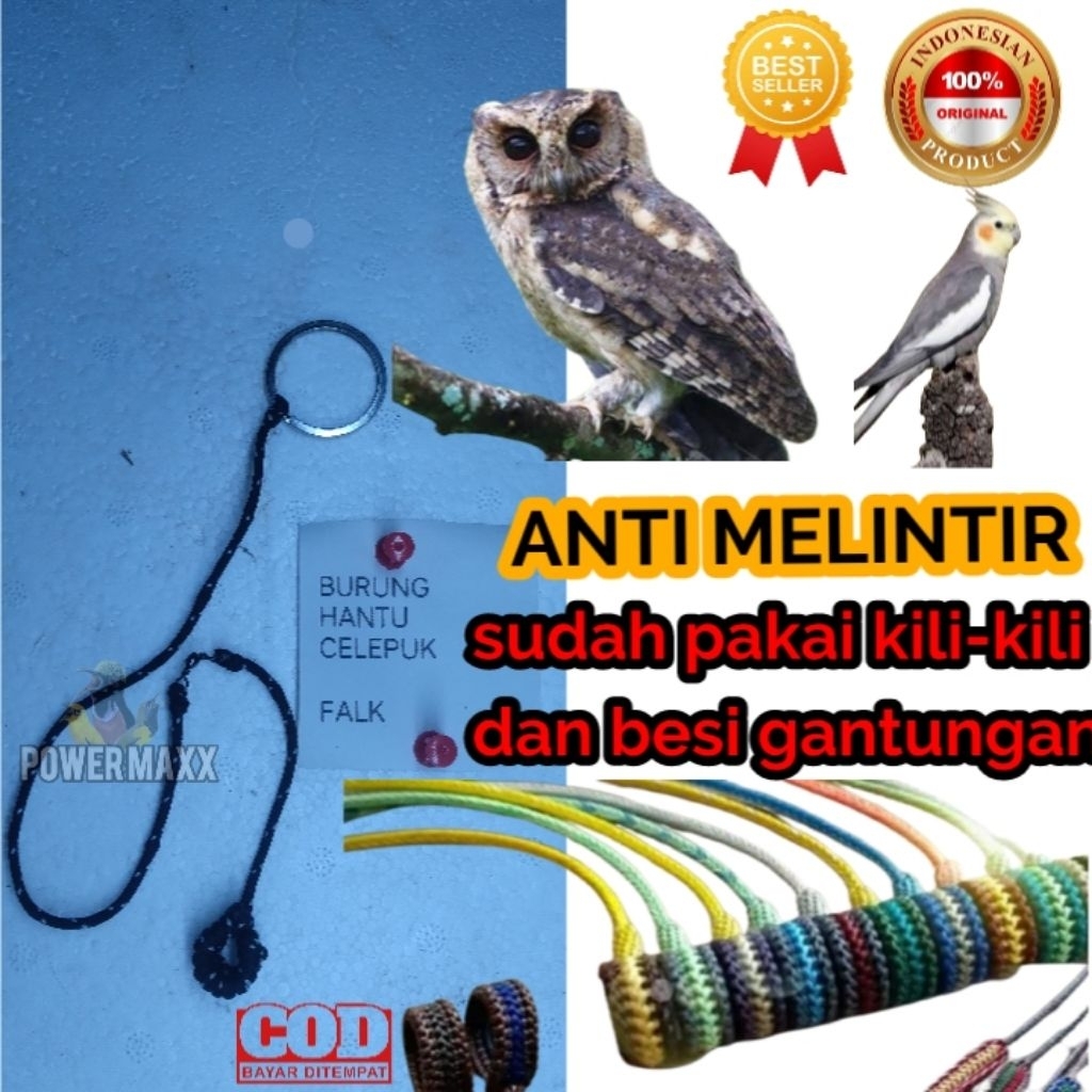 Tali kaki burung hantu celepuk falk anti melintir