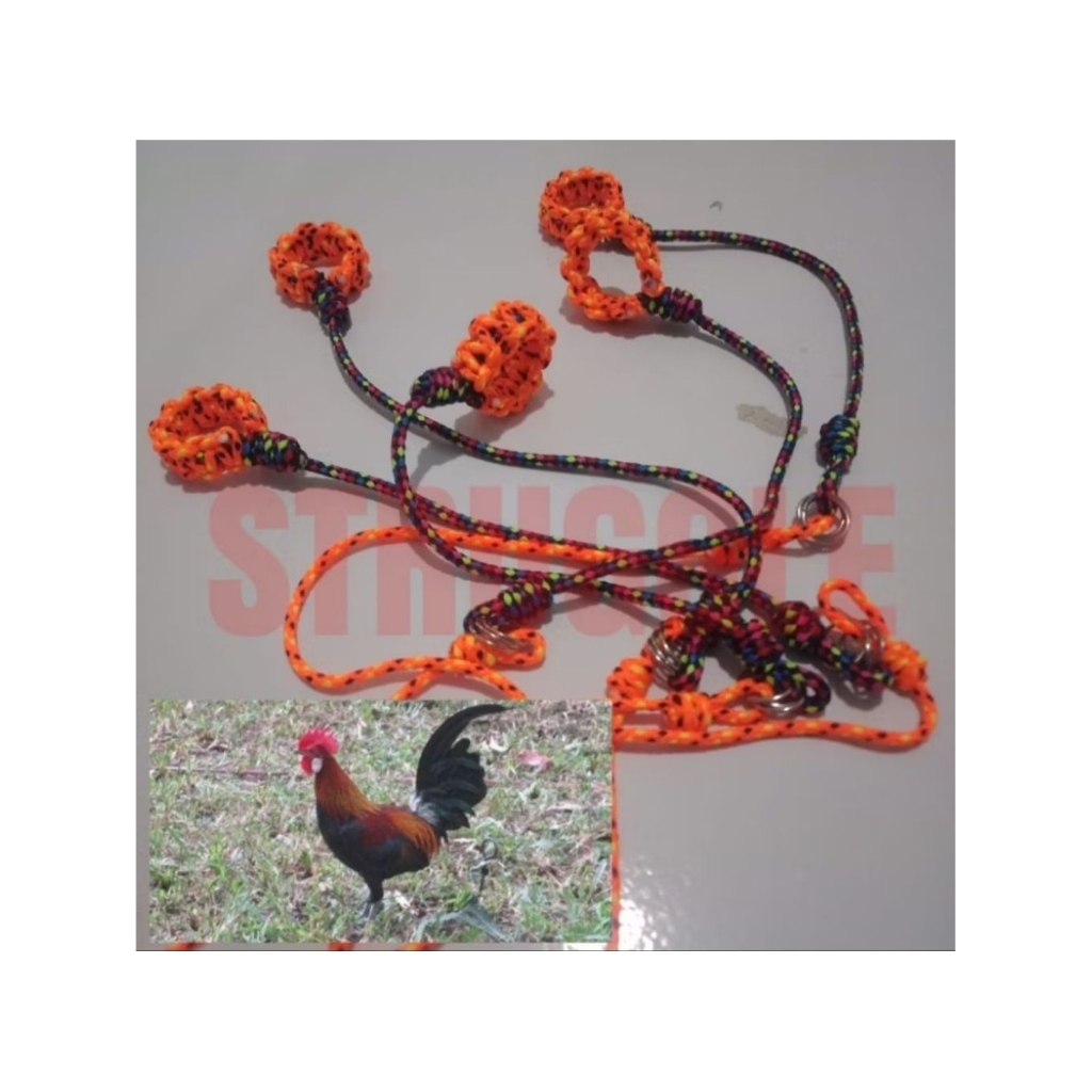 TALI KAKI AYAM HUTAN