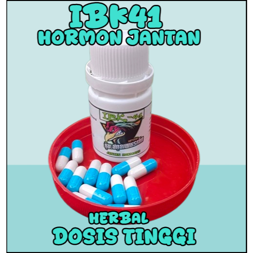 IBK 41 Obat hormon jantan - obat menikan hormon ayam jantan - obat ayam males kawin - 30 kapsul obat