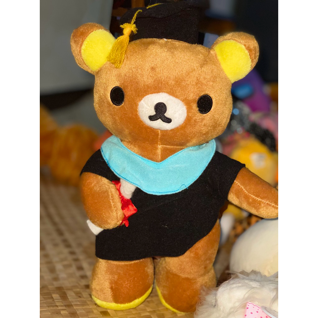 Preloved Boneka Wisuda