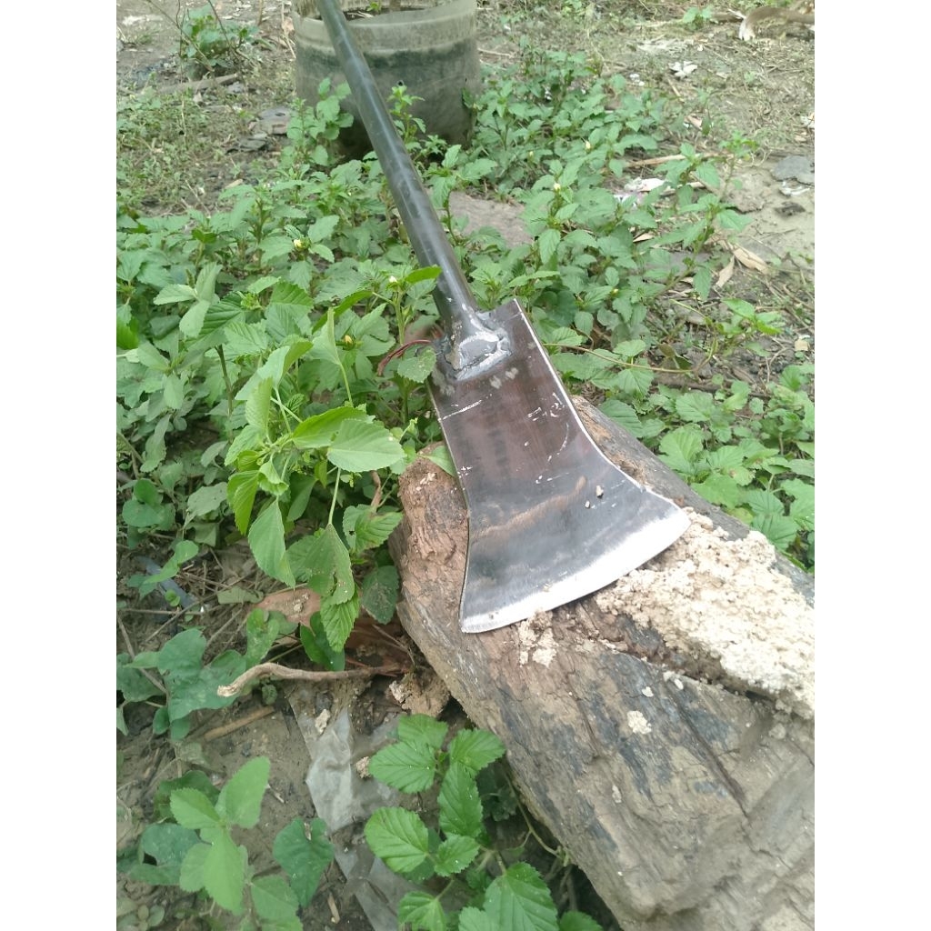 Dodos gali tanah keras,Dodos, linggis Dodos linggis gali