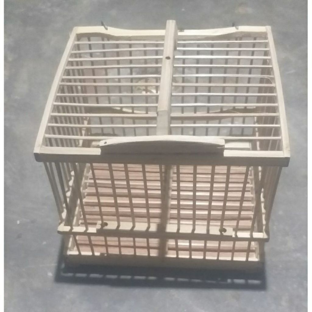 sangkar untulan pleci sogon kenari