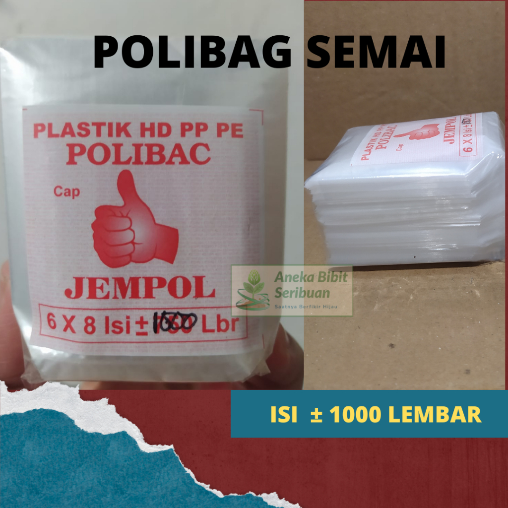 Polibag Semai Cabe 1000 Lembar PP PE 6x8cm