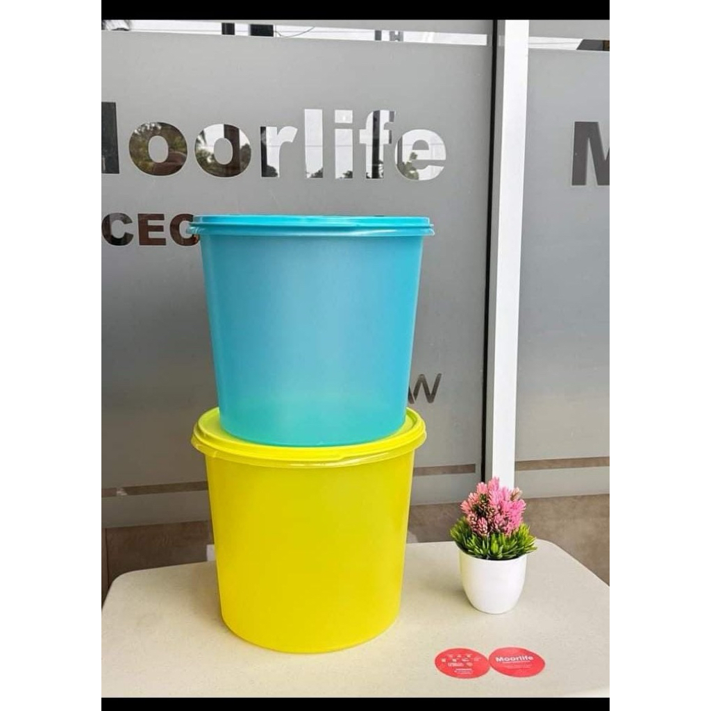 Original Toples Jumbo Vigan Venta dan Frasco Moorlife