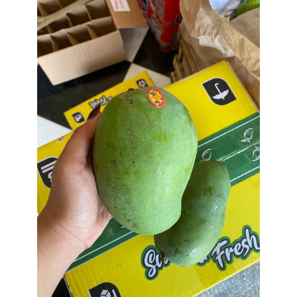 Mangga Alpukat -+1kg