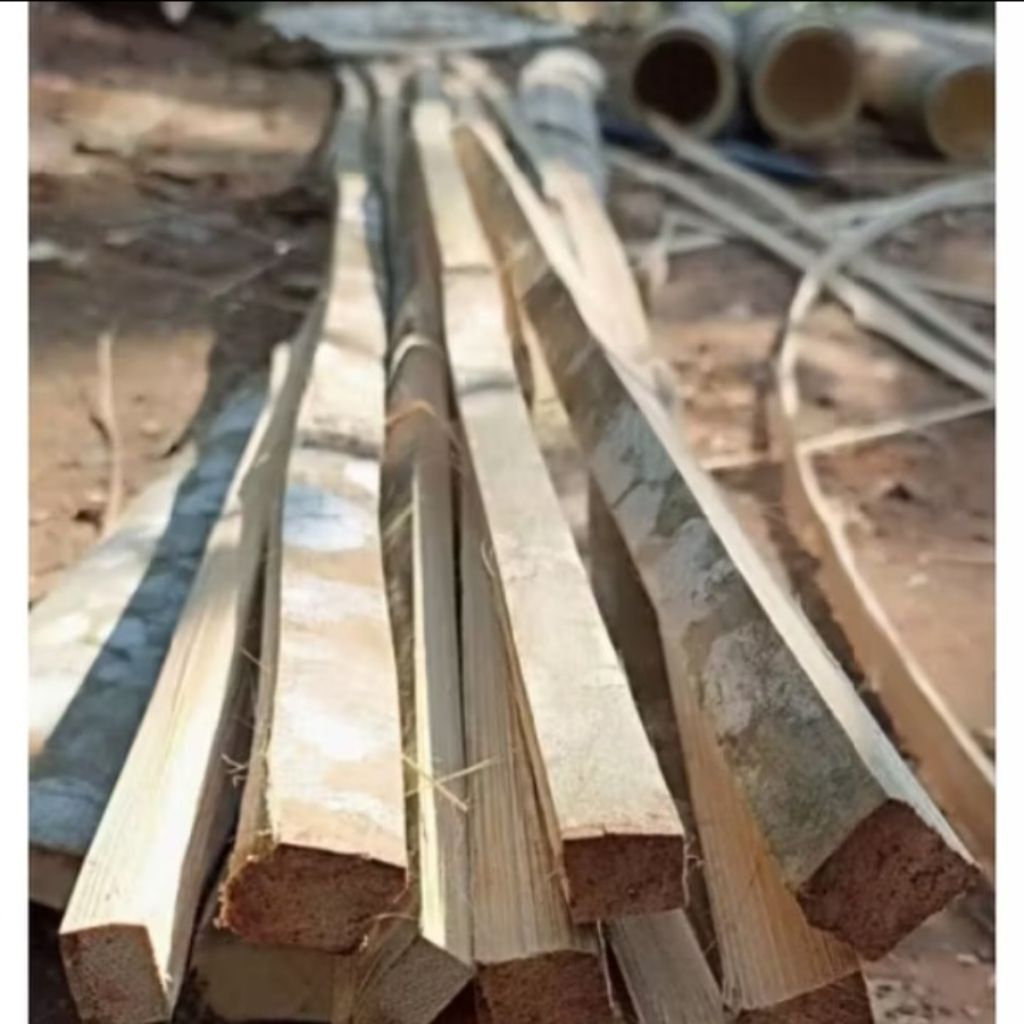 bambu bilah petung bahan layangan