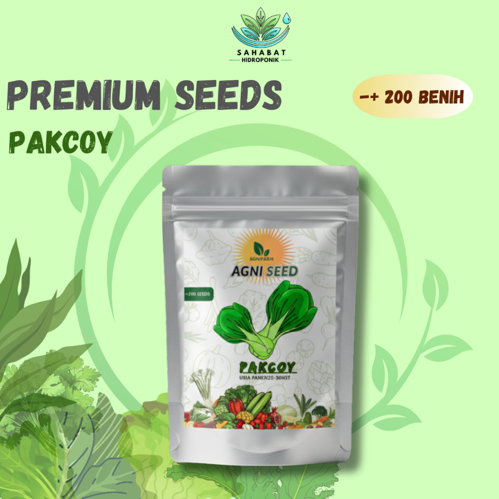 BENIH PREMIUM PAKCOY BENIH POKCAY BENIH PAKCOY BENIH HIDROPONIK BIBIT PAKCOY