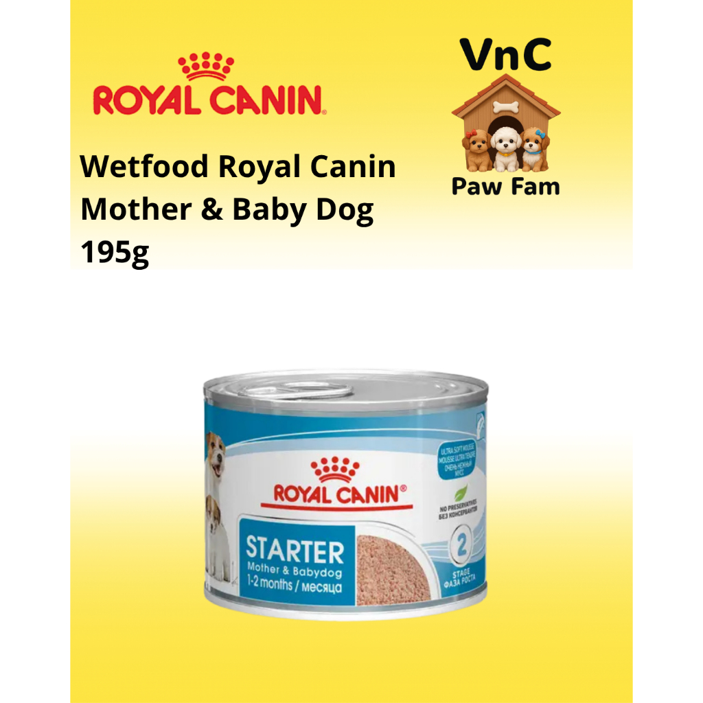 Royal Canin Mini Starter Mousse Mother Baby Dog 195GR Wet Food Puppy / Food Dog Puppy Royal Canin