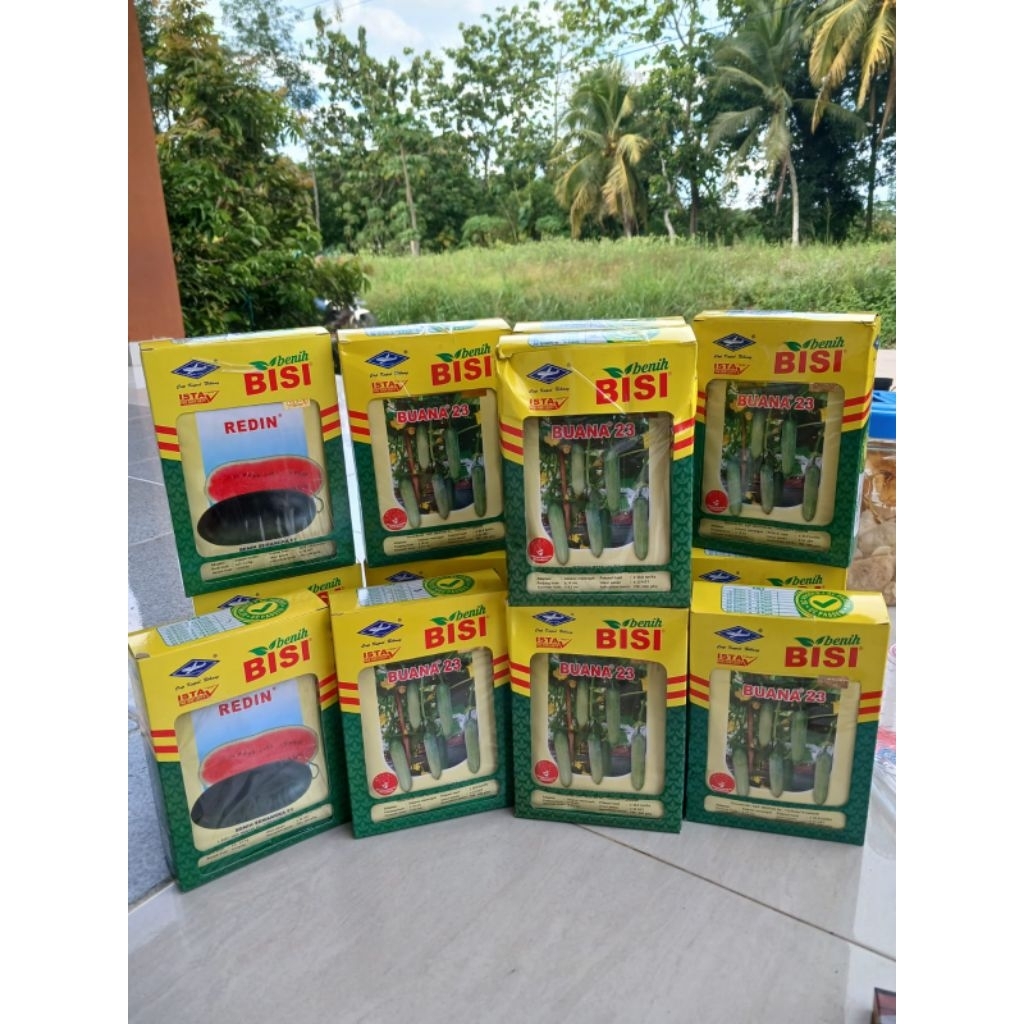 Timun bisi buana F1 hibrida