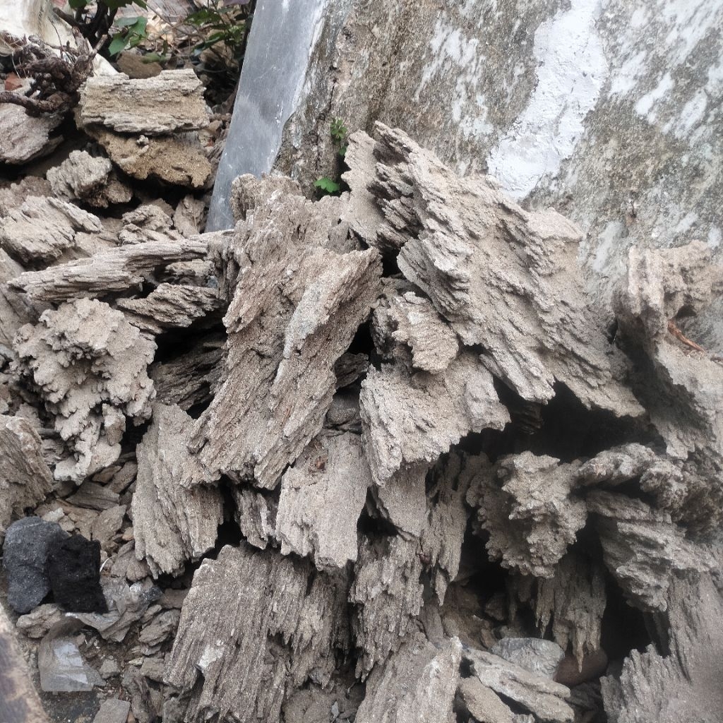 batu pasir sand stone GRADE A SIZE BESAR 10kg