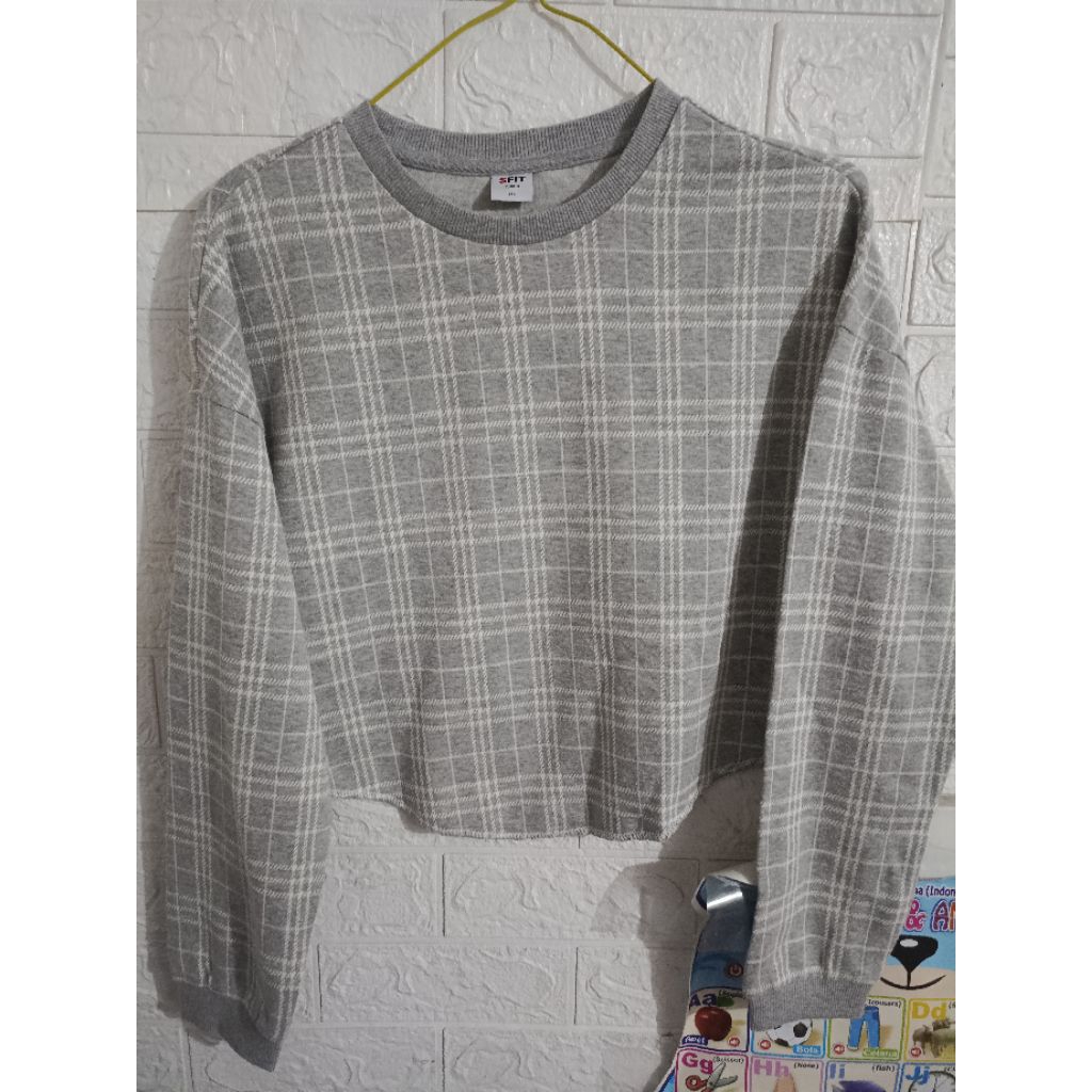 Crewneck Crop oversize wanita