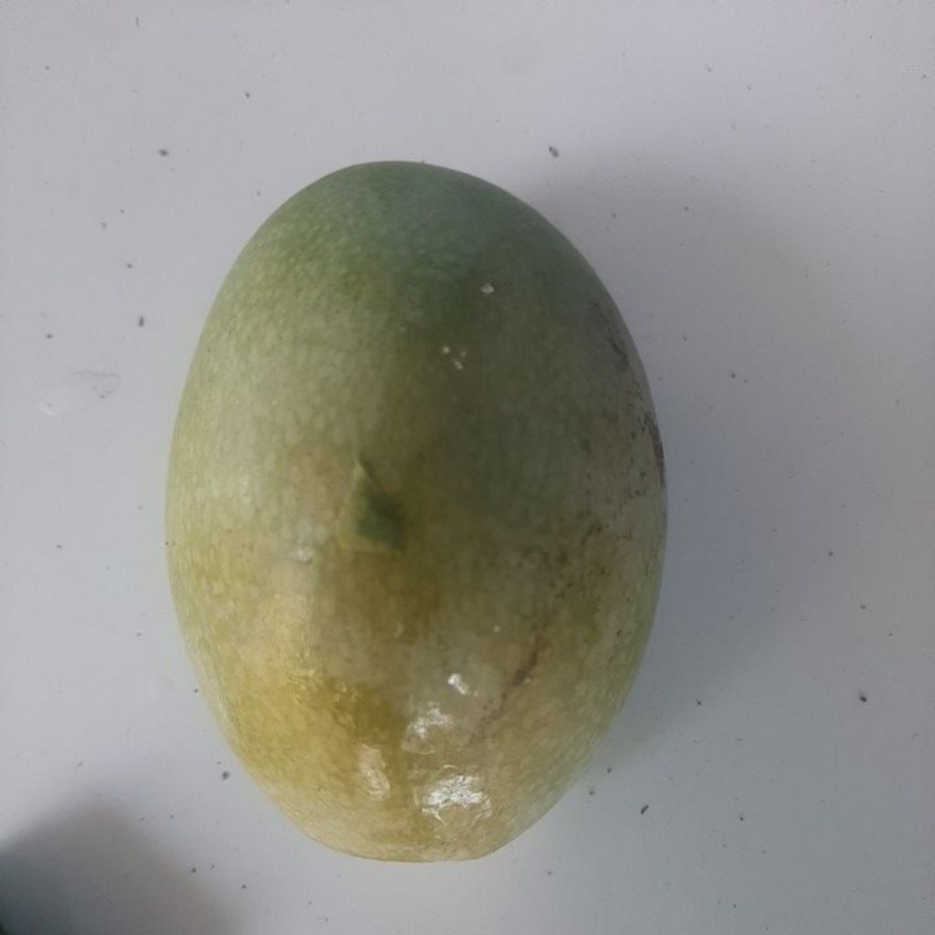 mangga manalagi super