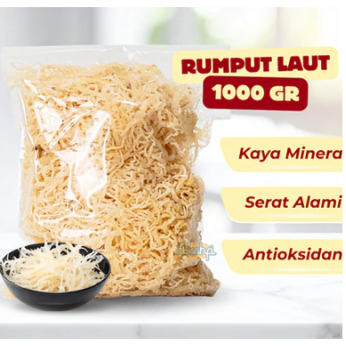 Rumput Laut Premium Spinosum