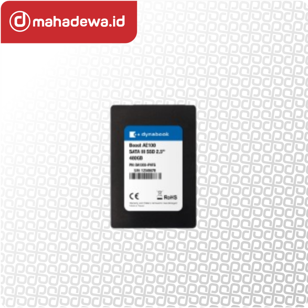 Dynabook SSD 120Gb