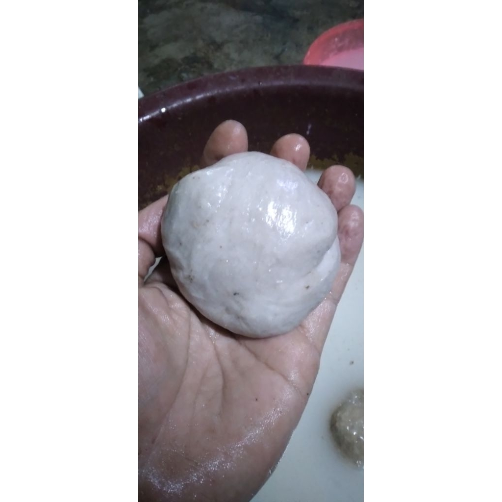 pulut 50gr | pulut burung | lem pulut getah bendo getah karet