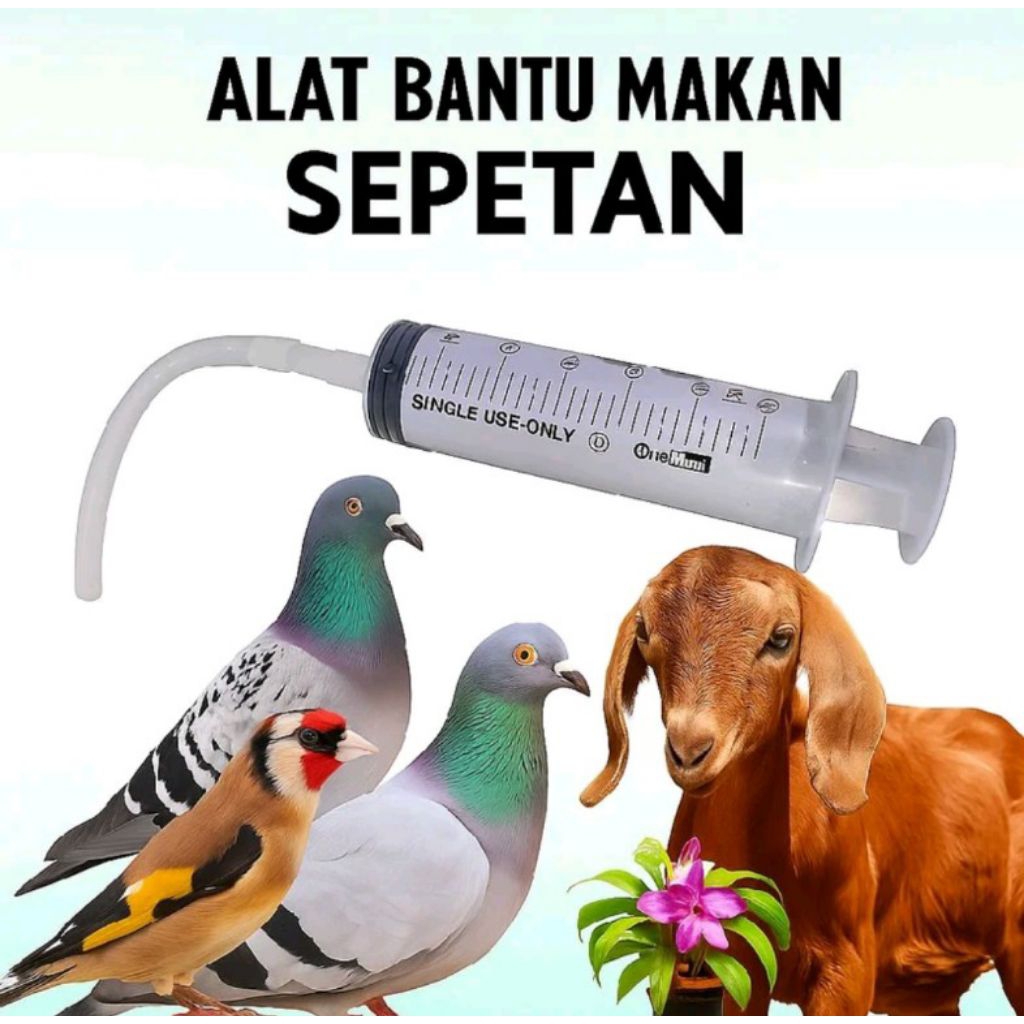alat bantu sepetan lolohan 60ml untuk sepetan lolohan anakan burung