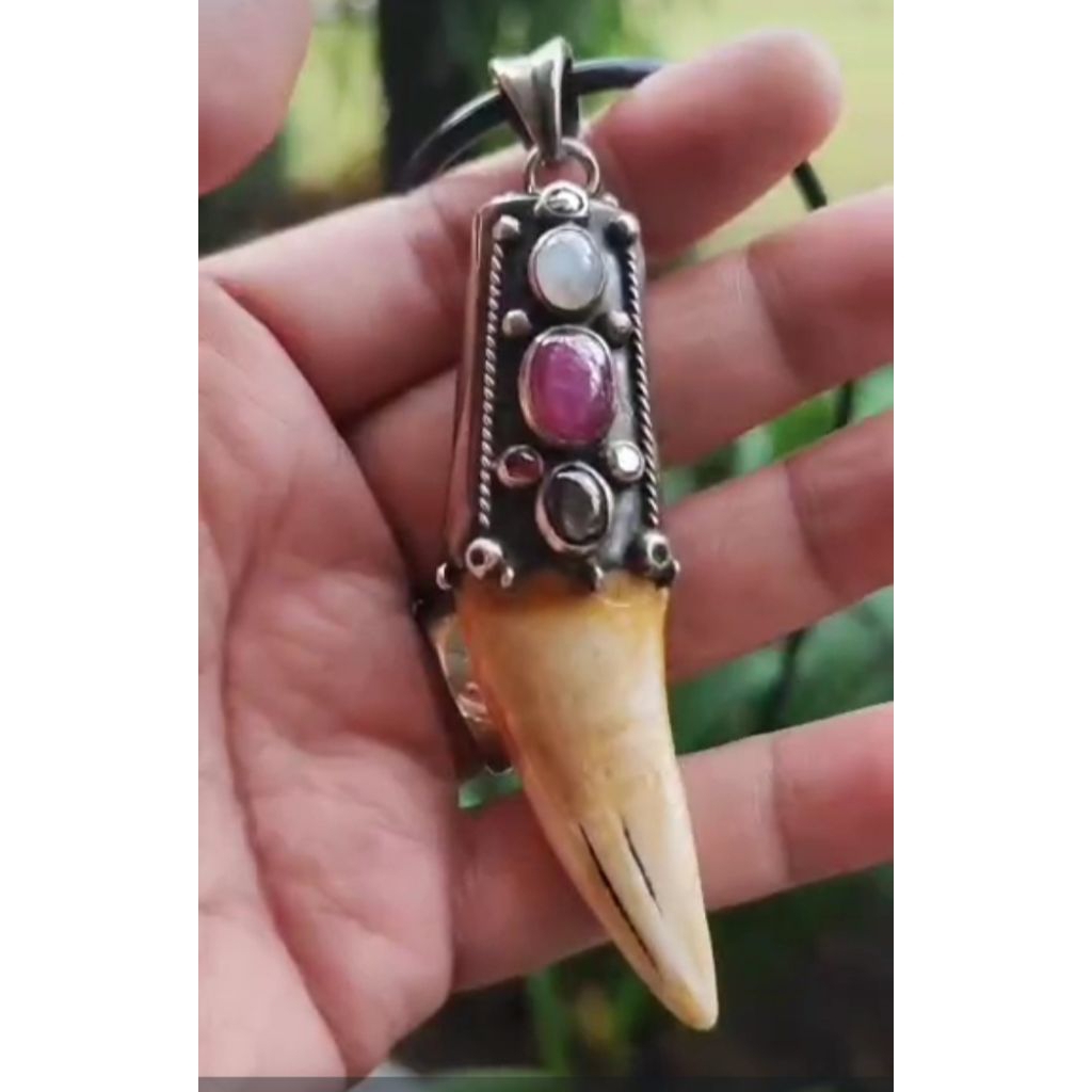 Liontin Replika Taring HM