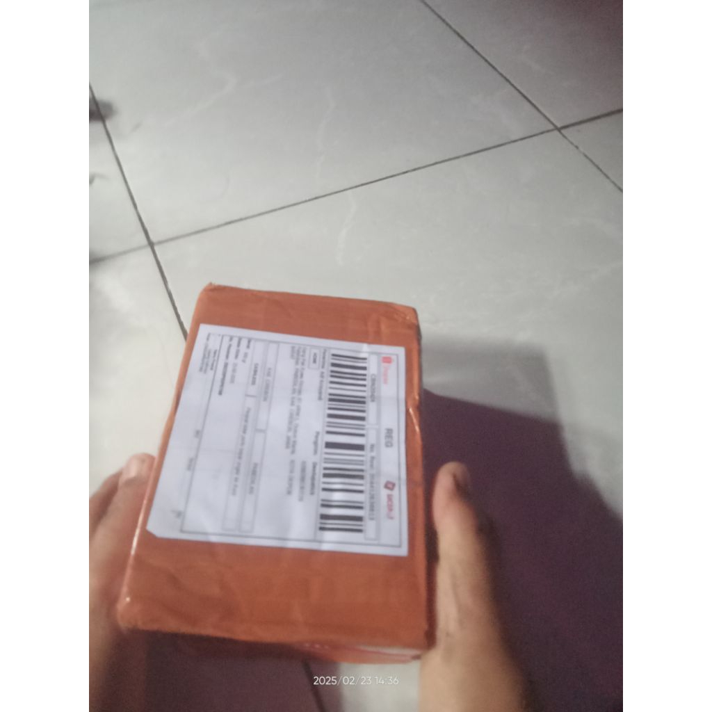 pair andrao jumbo gondrong proven