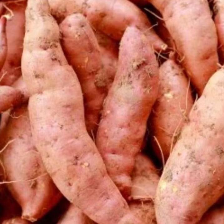 Ubi jalar Merah / Oren / Ubi Jalar 1kg