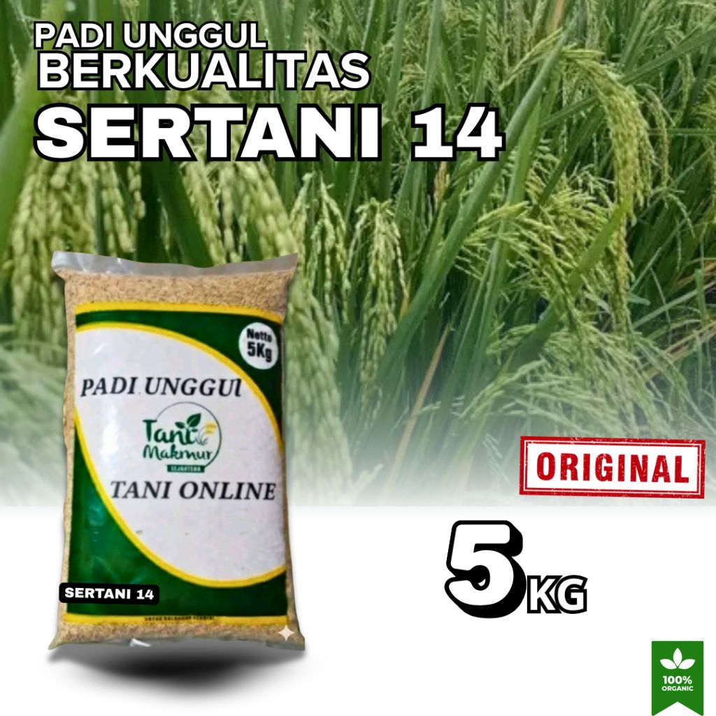 BENIH PADI UNGGUL SERTANI 13 KEMASAN 5KG