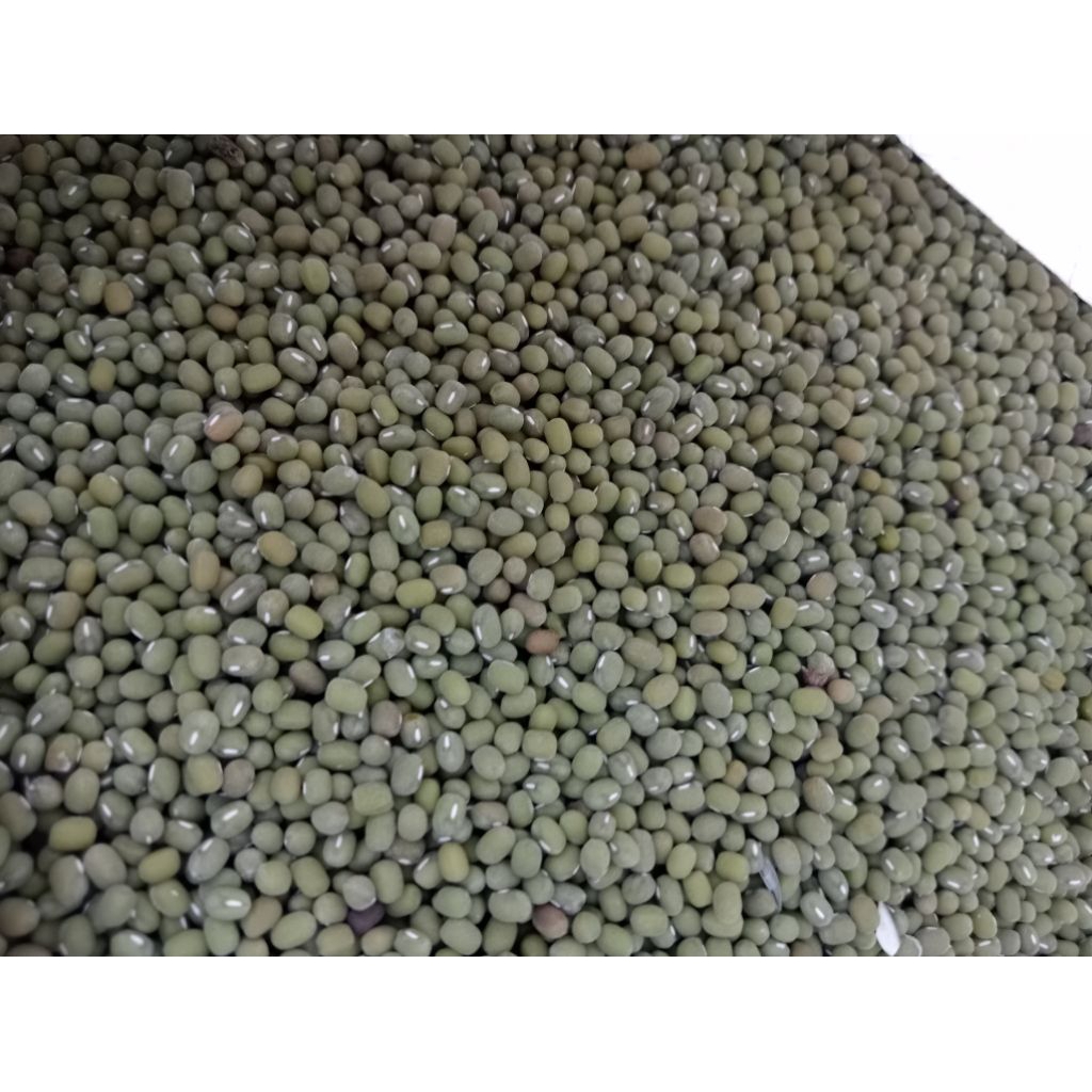 KACANG HIJAU ORGANIK. KACANG HIJAU SUPER.