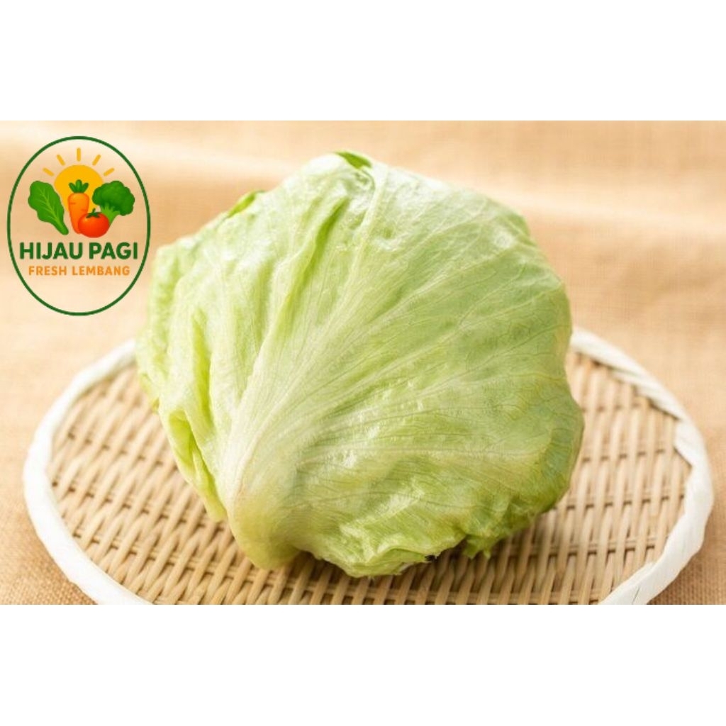LETTUCE HEAD - HIJAU PAGI FRESH LEMBANG