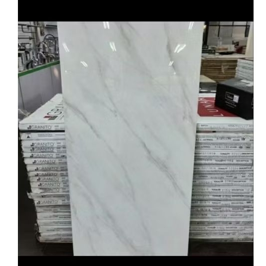 Granit Indogres 60x120 Grigio carara