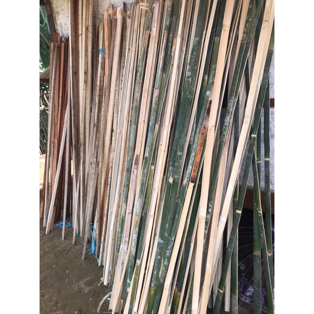 Bambu bilah ajir tanaman panjang 2 meter