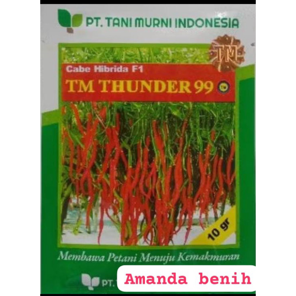 benih cabe keriting TM THUNDER 99