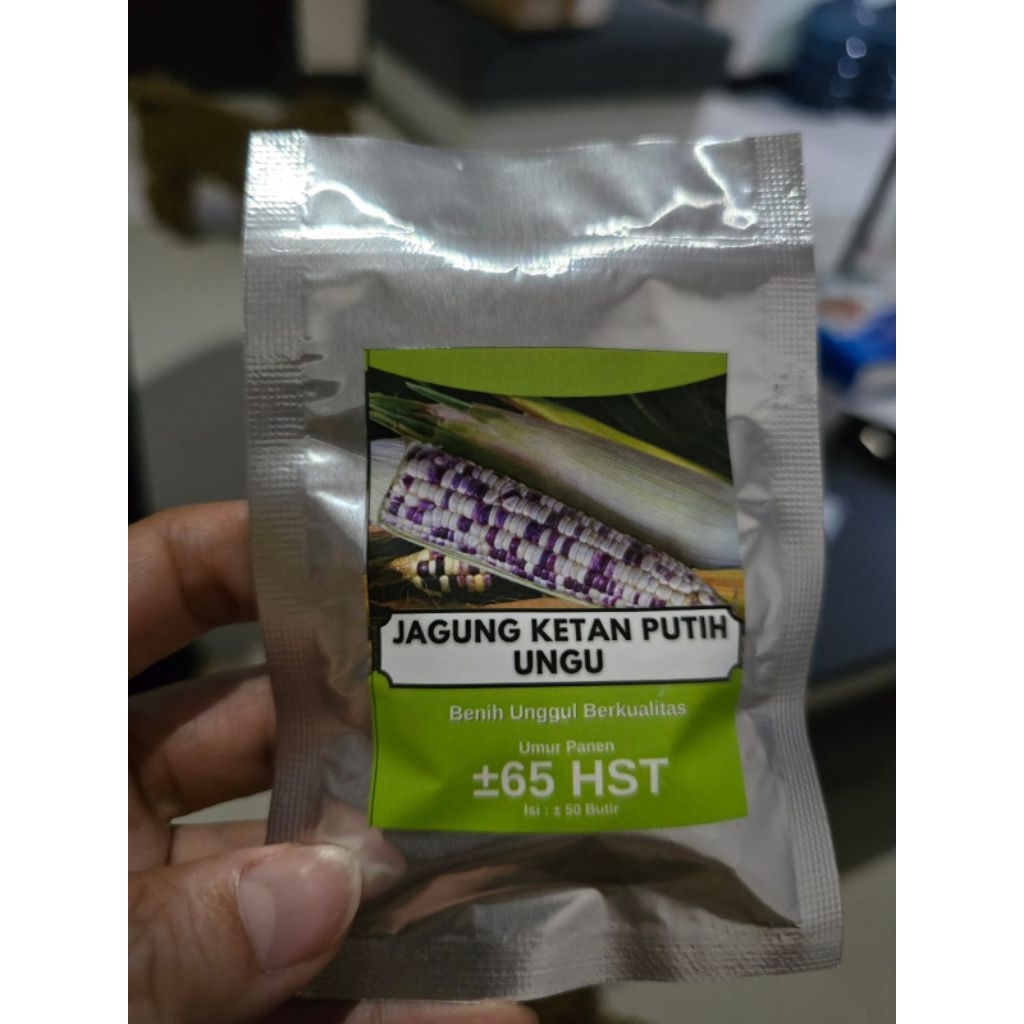 Benih jagung ketan putih unggu JAGUNG RASANYA kemasan 25butir