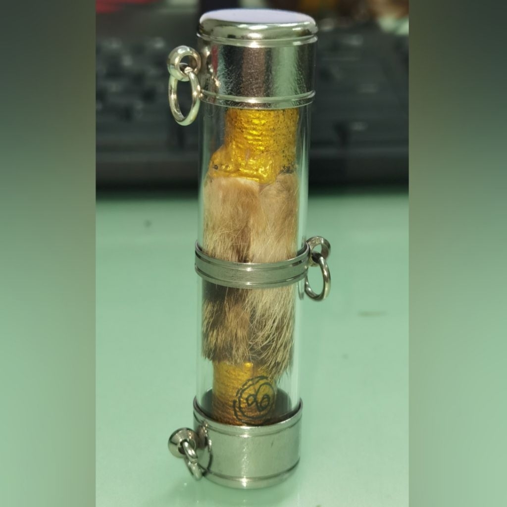 Takrut Nang Suea Tiger ~ Lp Kalong Wat Khao Laem