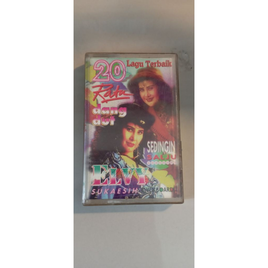 KASET ELVY SUKAESIH sedingin salju