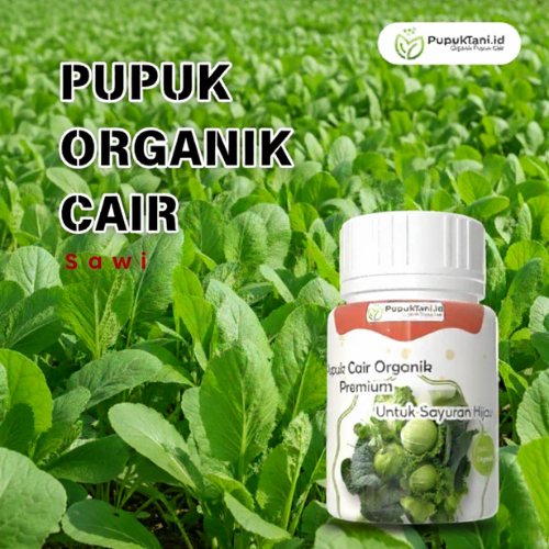 Pupuk Organik Cair Sawi Hijau Segar Panen Cepat Subur Pupuk Nutrisi Tanaman Sawi Sayur Hijau
