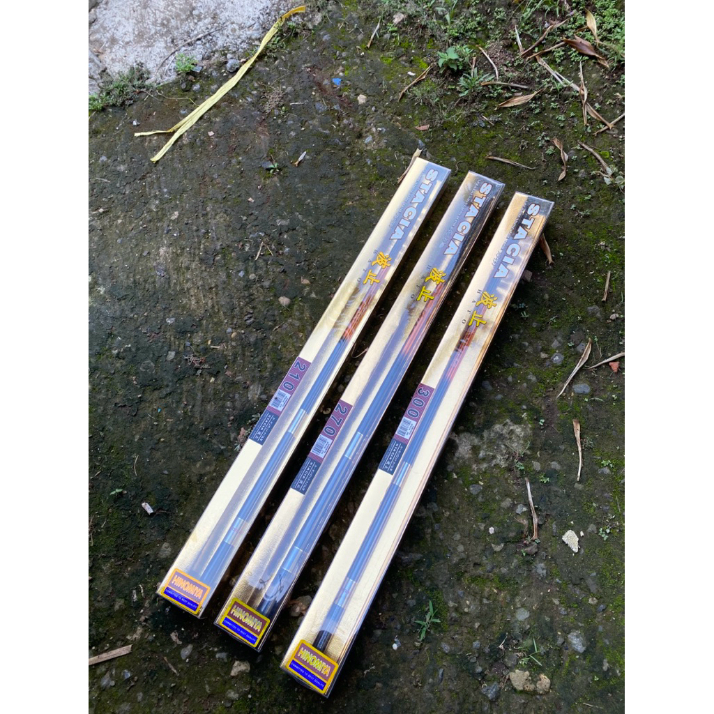 tegek HINOMIYA STACIA