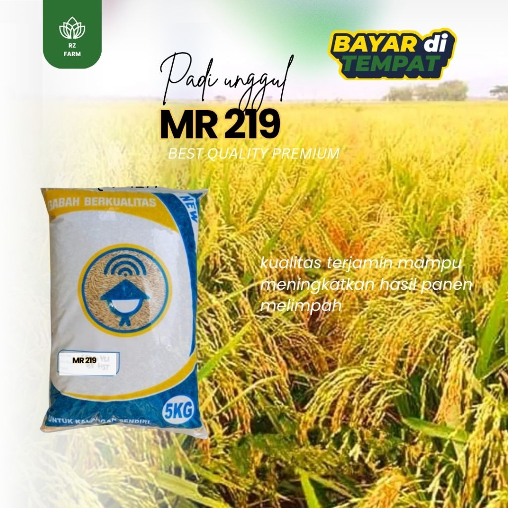 BENIH PADI UNGGUL MR 219 5KG