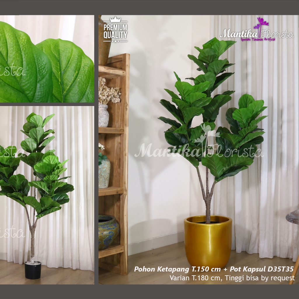 Pohon Palsu Ketapang Biola Cantik T150 Latex Artificial Pot Terakota Dekorasi Rumah
