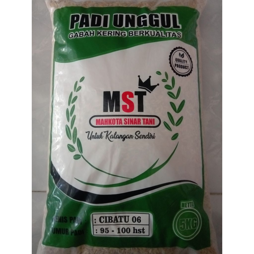 BENIH PADI CIBATU 06//5kg