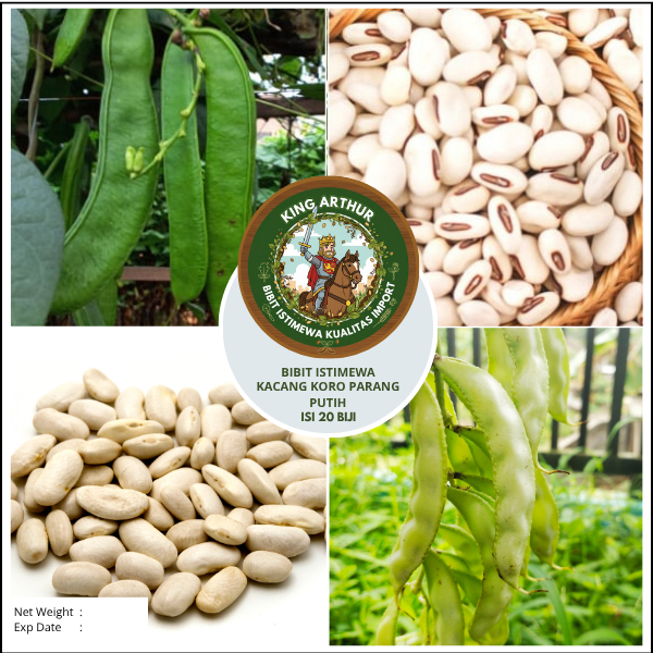 Bibit Istimewa Kacang Koro Parang Putih | Bibit Kacang Koro Pedang Putih