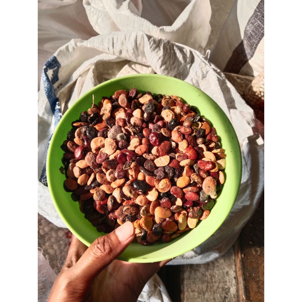 Grilshop7 Kacang Koro Merah Lokal Mentah 1Kg