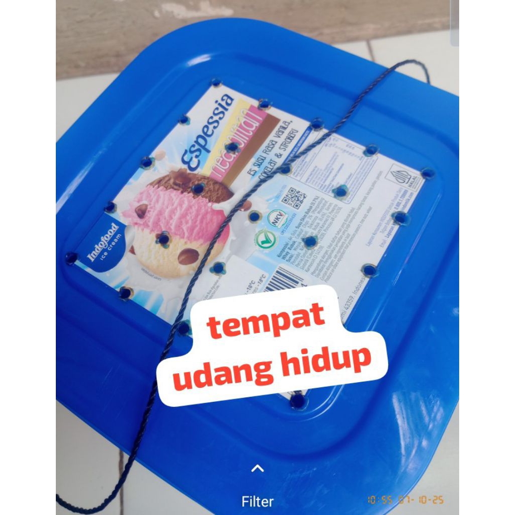 tempat udang hidup