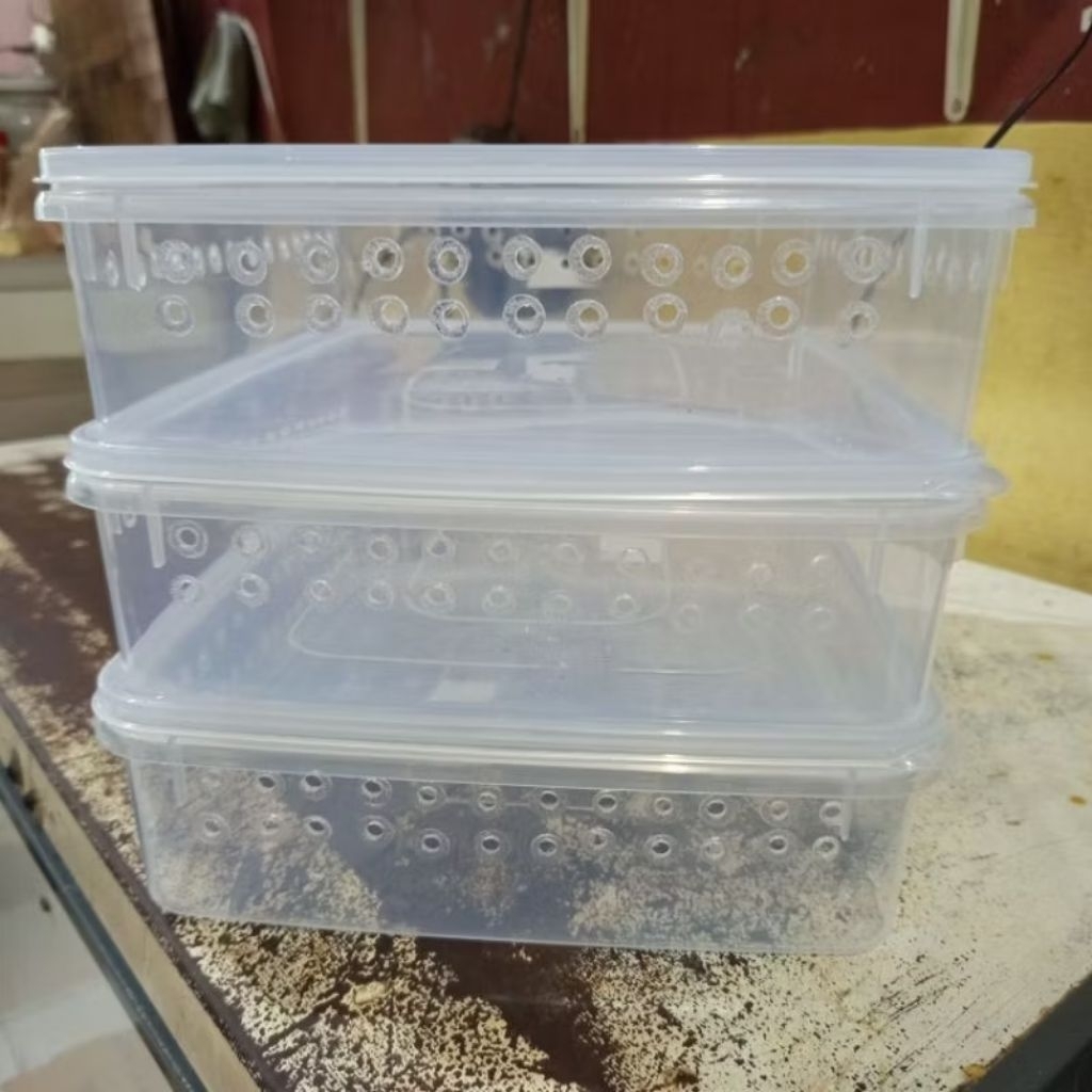 Kandang toples Gecko leopard (Khusus instant dan sameday)