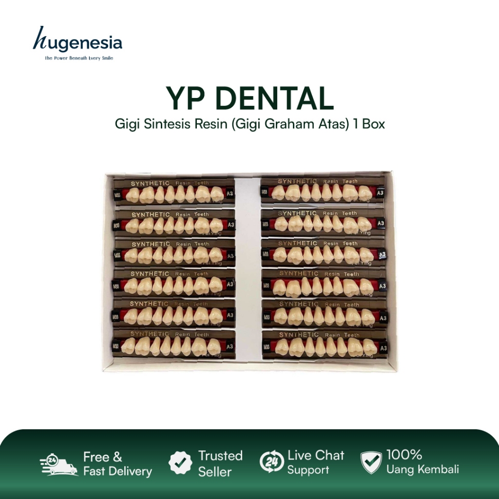 Hugenesia - Gigi Sintetis Resin Yp Dental Gigi Palsu Graham Atas & Bawah 1 Box