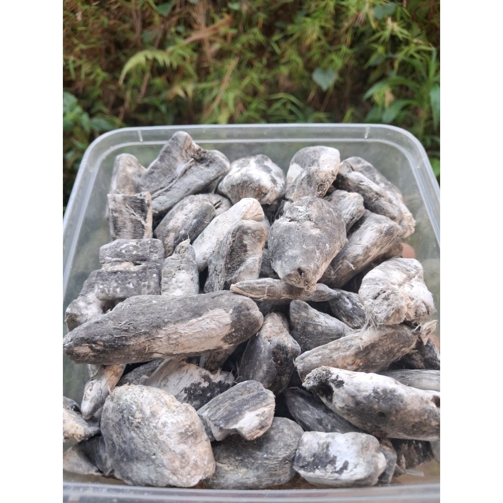 Gatot singkong /Gaplek singkong