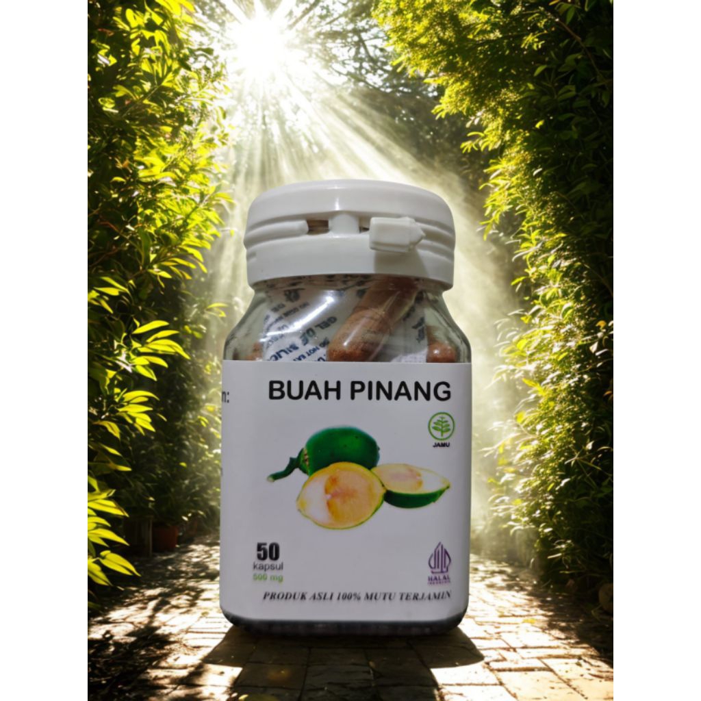 Buah Pinang Muda Kapsul isi 50 kapsul