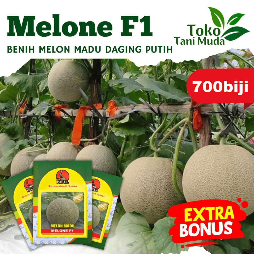 Promo Diskon Beli 2 Gratis 1 Benih Melon Melone F1 Cap Kujang 700 biji Tahan Virus
