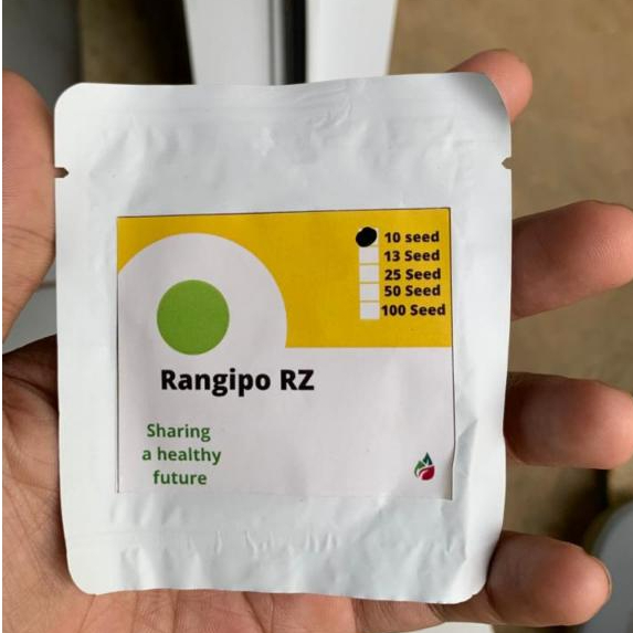 Rangipo RZ Benih Buah melon kemasan Repack 10 seed