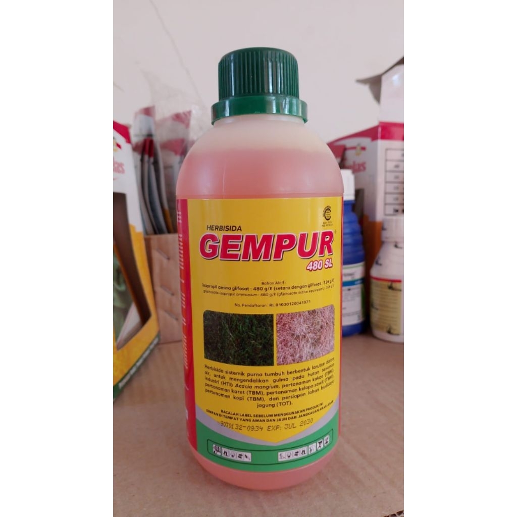 gempur 480 SL obat rumput grinting dan rumput lain lain pada lahan kosong